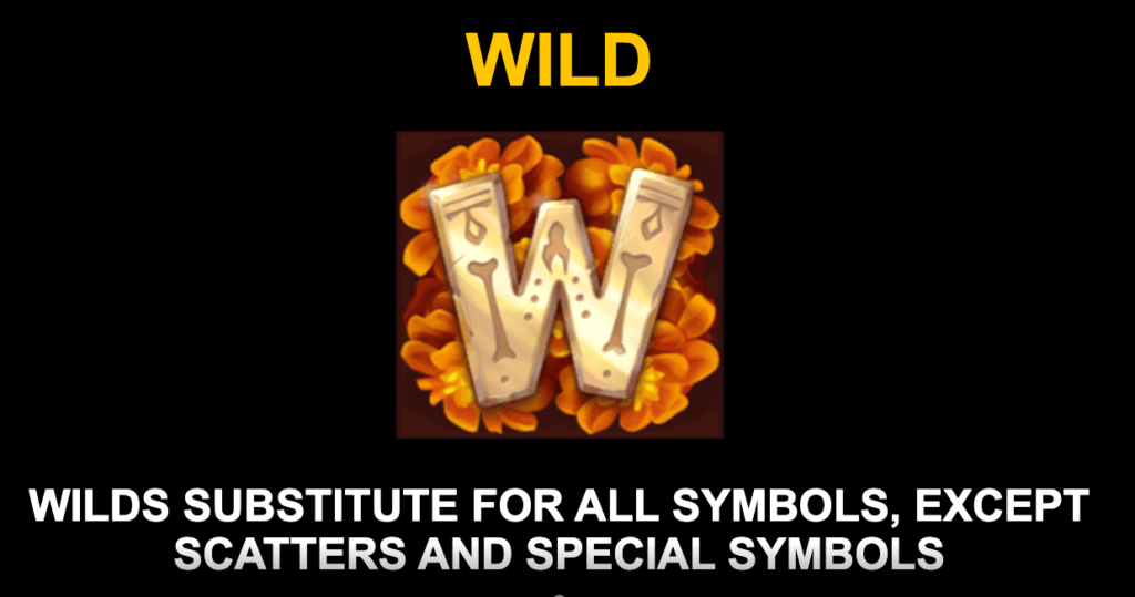 wilds