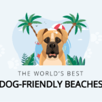 The World’s Best Dog-Friendly Beaches