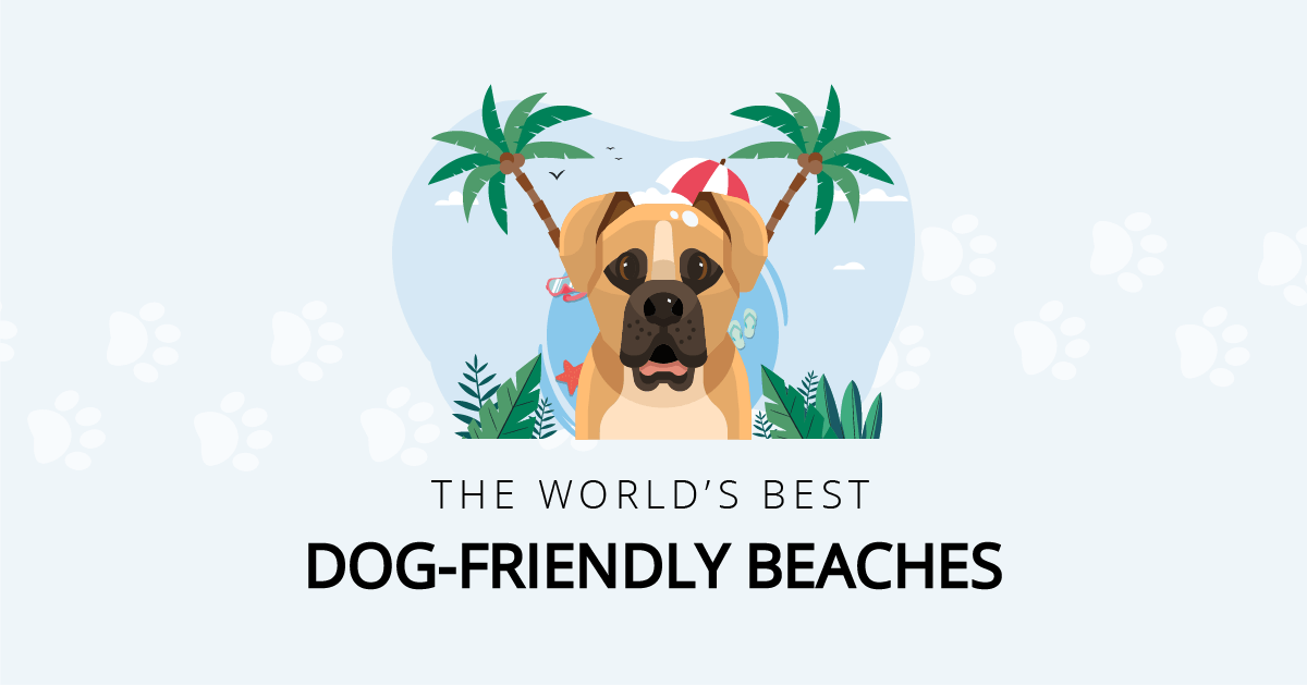The World’s Best Dog-Friendly Beaches