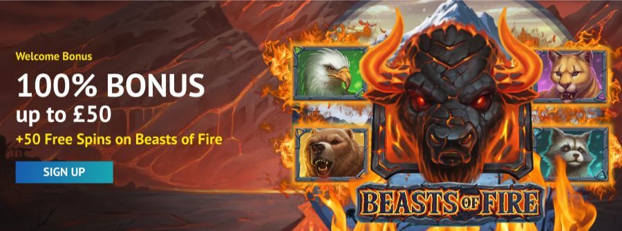 Hippozino uk welcome offer