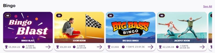 LottoGo UK bingo