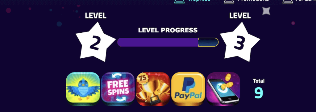VIP program