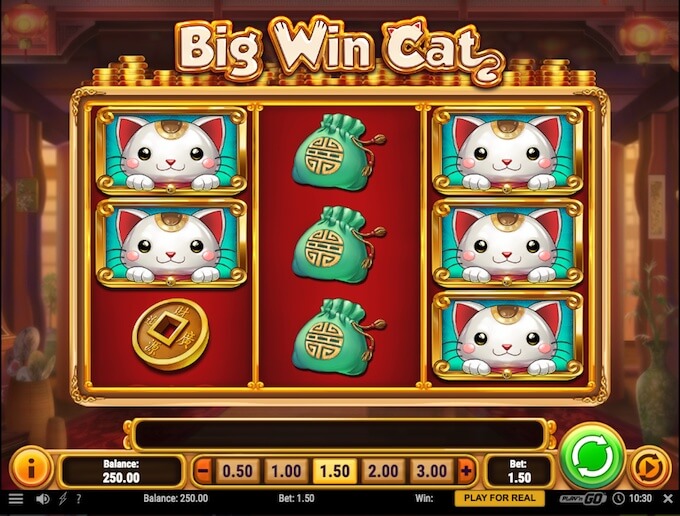 Play Big Win Cat now