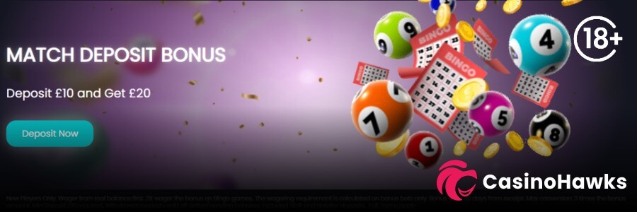 A purple promotional bingo banner featuring bold white text reading "MATCH DEPOSIT BONUS" above "Deposit £10 and Get £20" and a rounded teal "Deposit Now" CTA button. On the right, colorful 3D bingo balls (numbered 7, 9, 4, 5, 8, and 1), red bingo ticket cards, and gold coins float alongside floating gold confetti. An 18+ age verification badge sits in the top right corner, and the Casino Hawks pink lion co-branding logo rests in the bottom right corner.