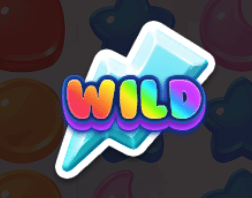 Wild Symbol