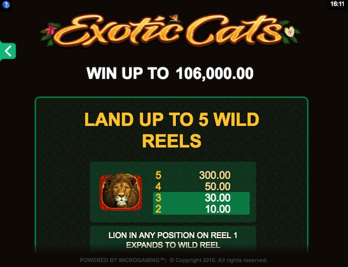 Exotic Cats slot - win up to 160,000 coins