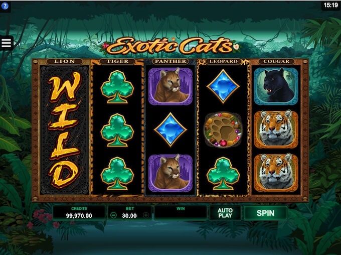 Exotic Cats slot vertical wilds feature