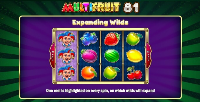 Play Multifruit 81 slot at Dunder Casino