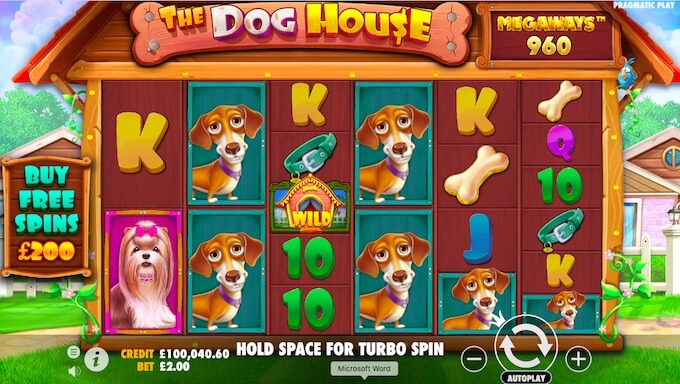 The Dog House Megaways slot review