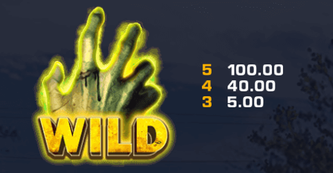 Wild symbol payouts