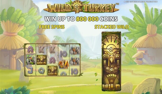 Play Wild Turkey slot at Dunder Caisno Play Wild Turkey slot